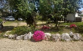 Nature Houses