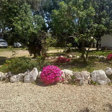 Nature Houses Lagos Exterior foto