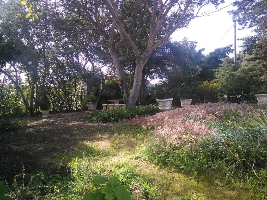 Nature Houses Lagos Exterior foto