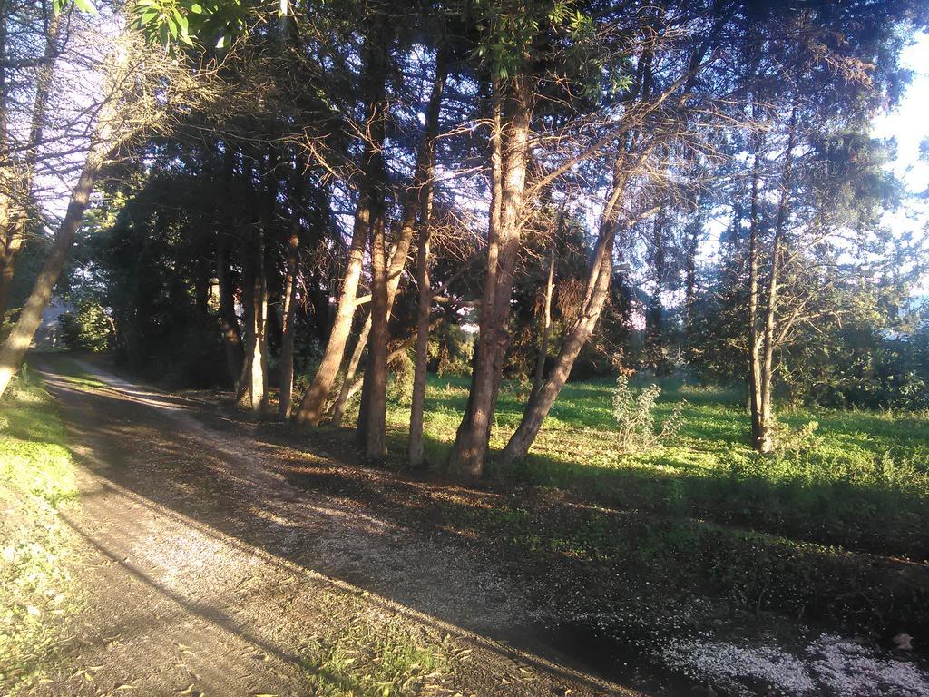 Nature Houses Lagos Exterior foto
